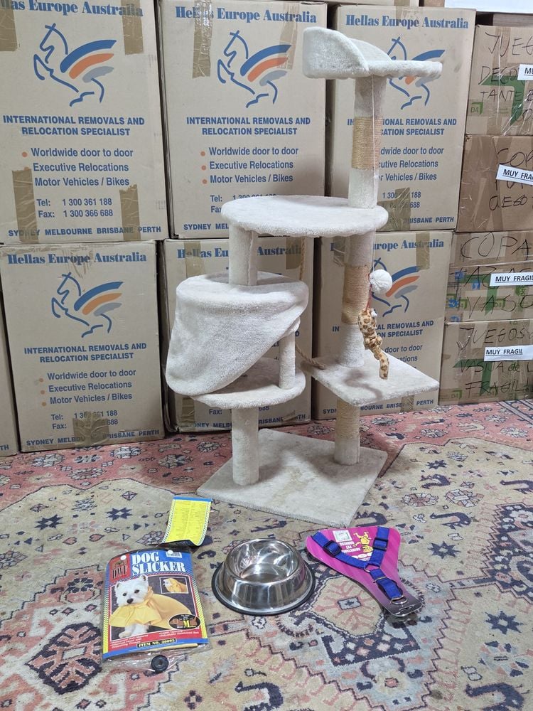Árbol Rascador para Gatos y Accesorios para Mascotas