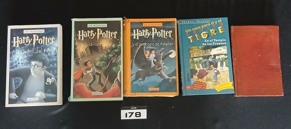 Lote de 5 Libros Infantiles y Juveniles: Harry Potter y El Erial