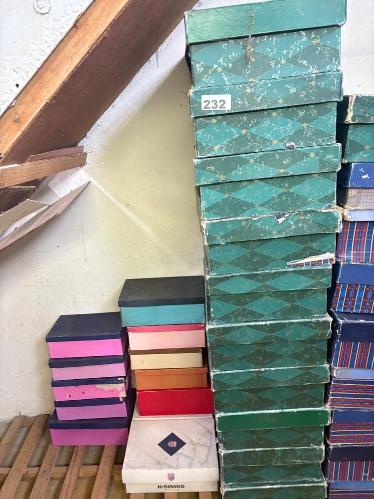 Lote de 50 Cajas para Zapatos de Varios Diseños y Colores