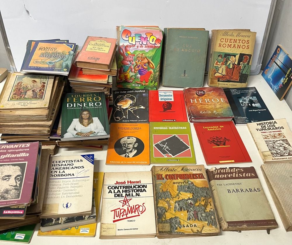 Lote de Más de 80 Libros Variados: Novelas, Cuentos y Más