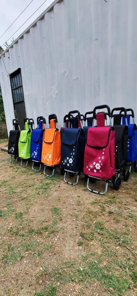 Carritos de Compras para Feria en Varios Colores