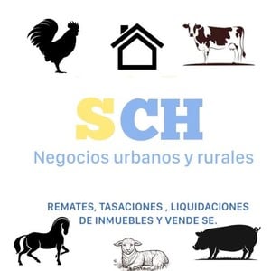 Logo de 215
