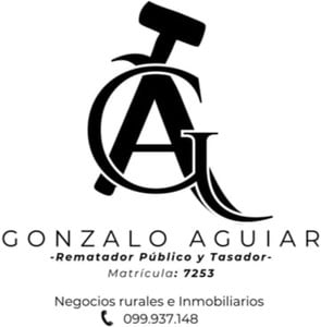 Logo de Gonzalo Sebastián Aguiar Mesa