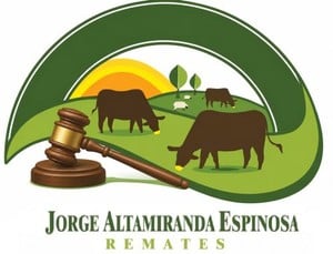 Logo de 211