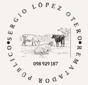 Logo de 53