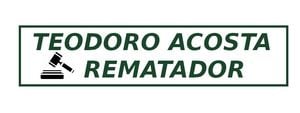 Logo de Teodoro Alejandro Acosta Mirande