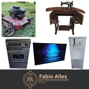 Primer lote del remate de Fabio Alles Remates