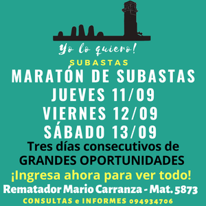 Primer lote del remate de Yo lo quiero! Subastas 
