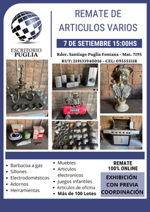 Primer lote del remate de Escritorio Puglia