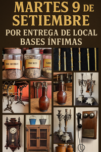 Primer lote del remate de Nelson Javier Jolochin Solan