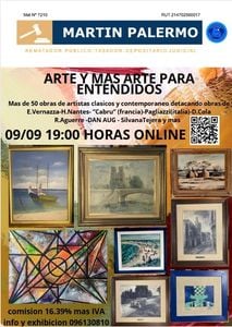 Primer lote del remate de Martin Palermo