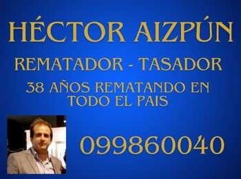 Logo de Héctor Aizpún