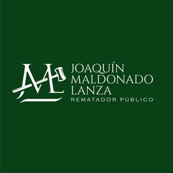 Logo de Joaquin Maldonado Lanza