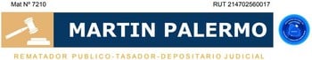 Logo de Martin Palermo