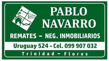 Logo de Pablo Navarro