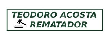 Logo de Teodoro Alejandro Acosta Mirande