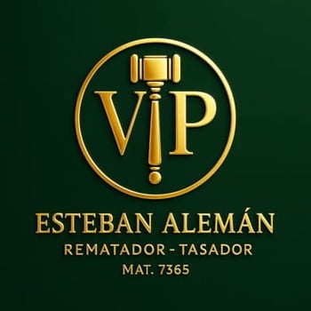 Logo de Vip Subastas