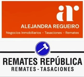 Primer lote del remate de Alejandra Regueiro
