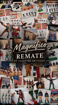 Primer lote del remate de Verónica Aristegui Díaz 