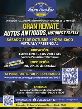 Primer lote del remate de Roberto Vizoso Diaz