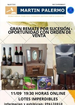 Primer lote del remate de Martin Palermo