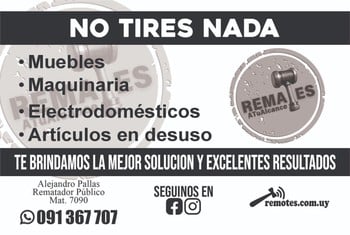 Primer lote del remate de Remates ATuAlcance