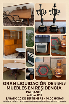 Primer lote del remate de Nelson Javier Jolochin Solan