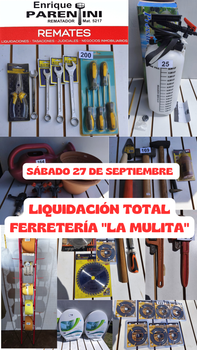 Primer lote del remate de Enrique Parentini