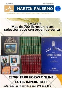 Primer lote del remate de Martin Palermo