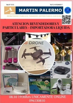 Primer lote del remate de Martin Palermo
