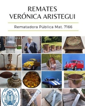 Primer lote del remate de Verónica Aristegui Díaz 