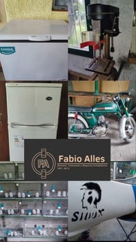 Primer lote del remate de Fabio Alles Remates