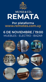 Primer lote del remate de Muniz y Cia