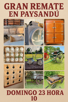 Primer lote del remate de Nelson Javier Jolochin Solan