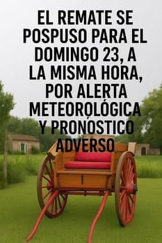 Primer lote del remate de Nelson Javier Jolochin Solan