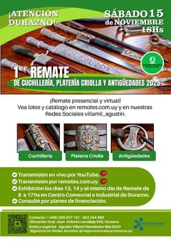 Primer lote del remate de Agustin Villamil