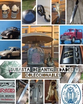 Primer lote del remate de Verónica Aristegui Díaz 