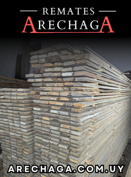 Primer lote del remate de Remates Arechaga