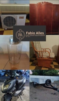 Primer lote del remate de Fabio Alles Remates