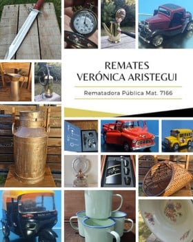 Primer lote del remate de Verónica Aristegui Díaz 