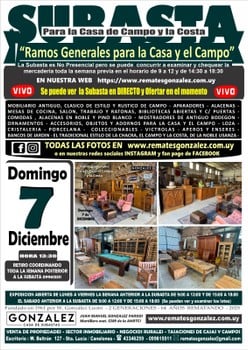 Primer lote del remate de Remates González