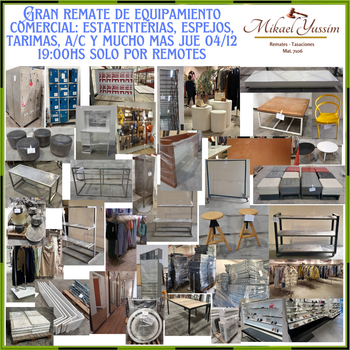 Primer lote del remate de Mikael Yussim