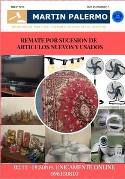 Primer lote del remate de Martin Palermo