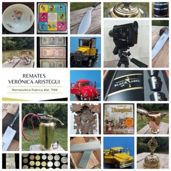 Primer lote del remate de Verónica Aristegui Díaz 