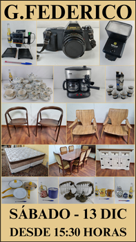 Primer lote del remate de Remate G. Federico