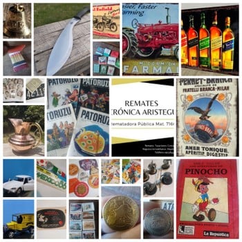 Primer lote del remate de Verónica Aristegui Díaz 