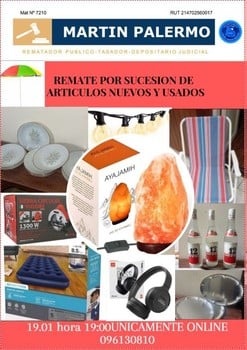 Primer lote del remate de Martin Palermo