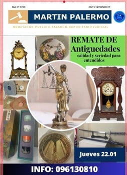 Primer lote del remate de Martin Palermo