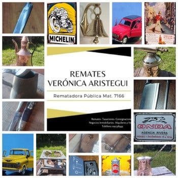 Primer lote del remate de Verónica Aristegui Díaz 
