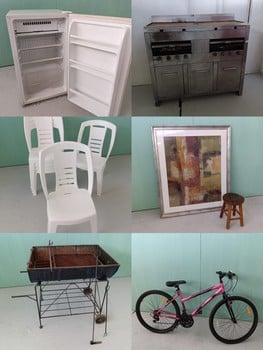 Primer lote del remate de Remates ATuAlcance